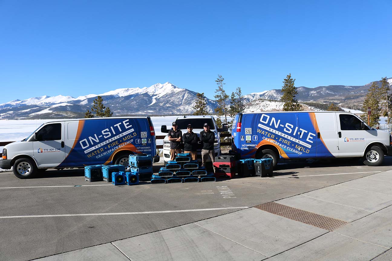 All Restoration Services