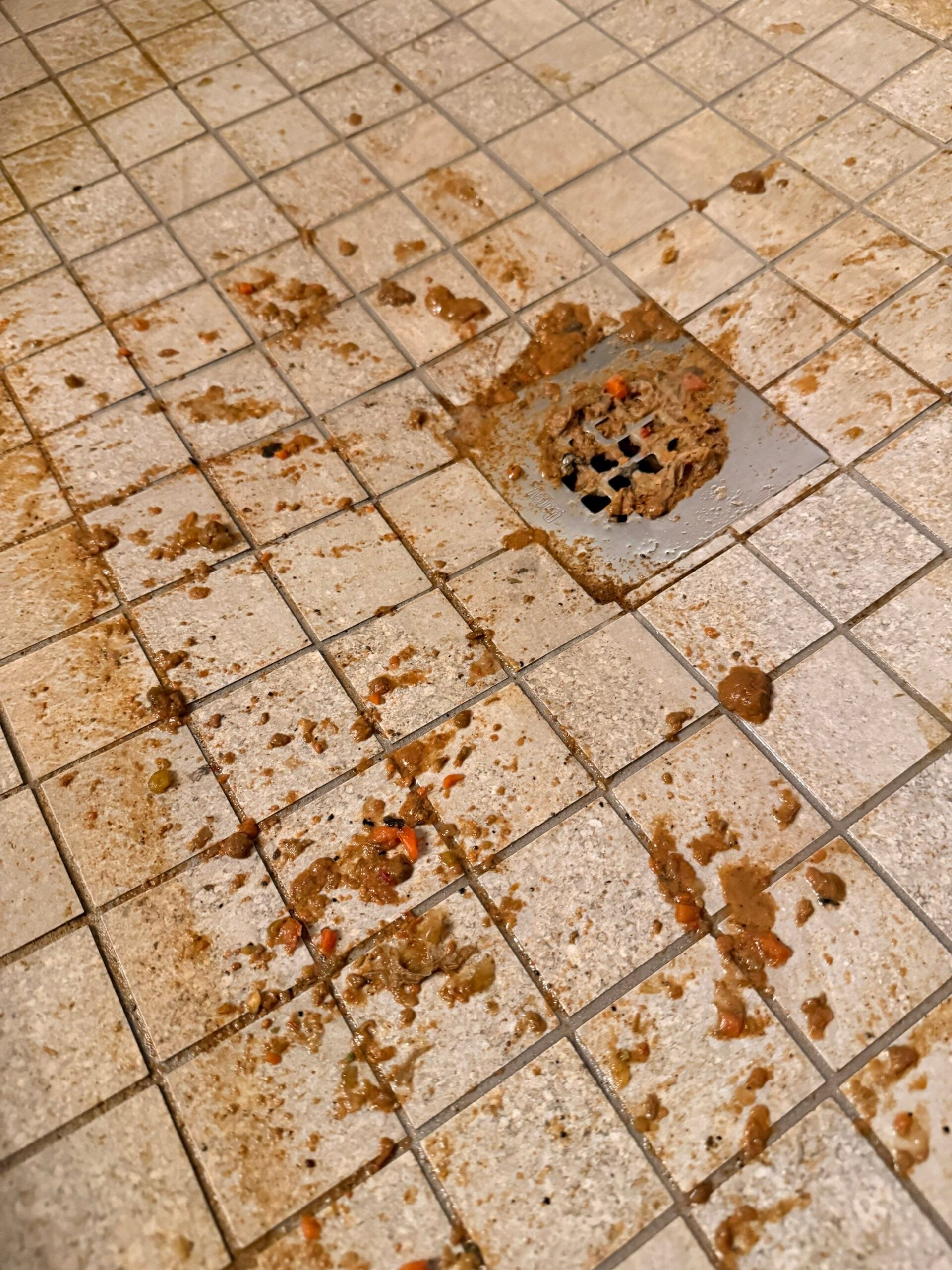 Sewage damage cleanup by On-Site Restoration in Colorado