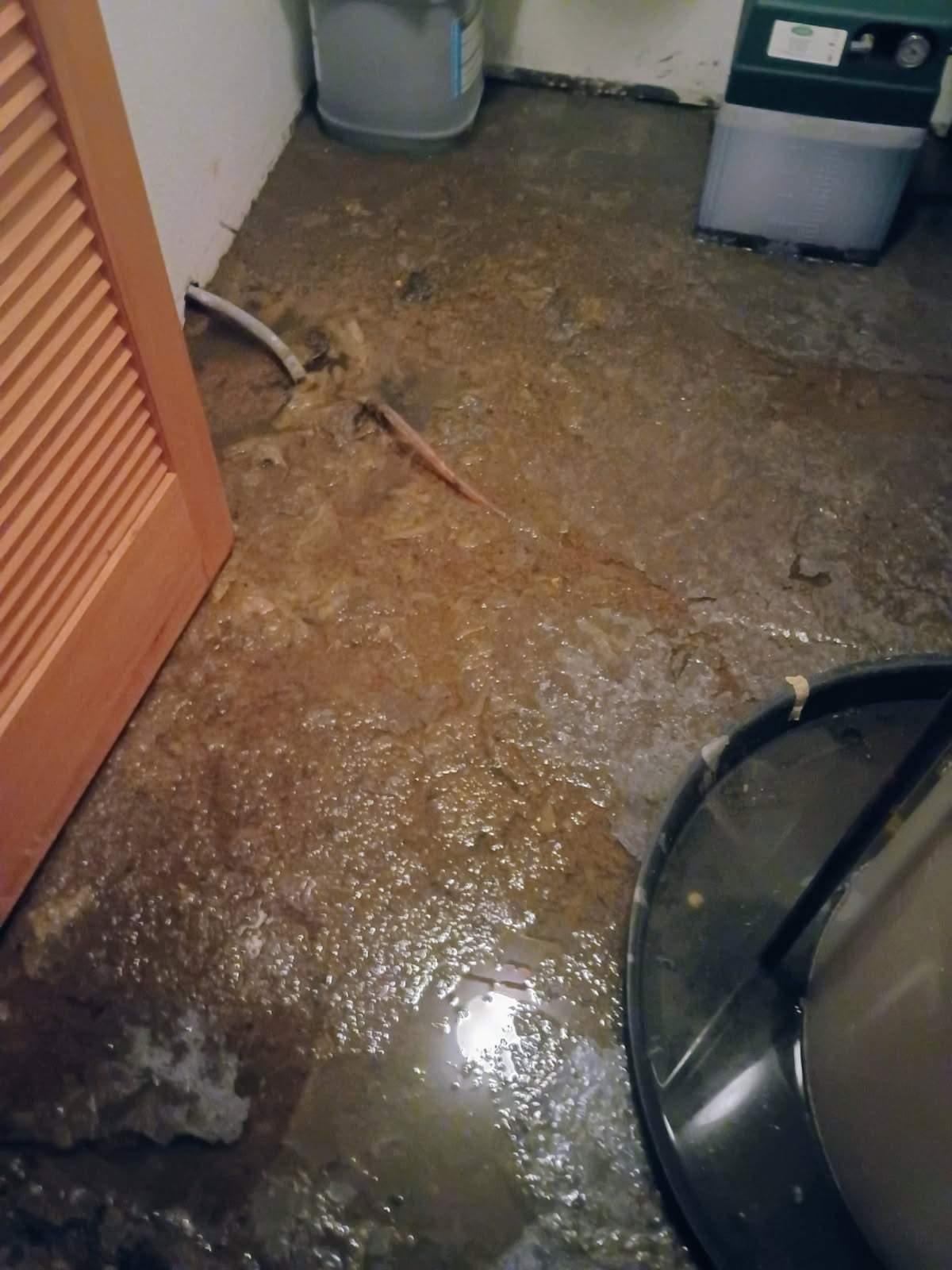 Sewage cleanup and sanitation Summit County