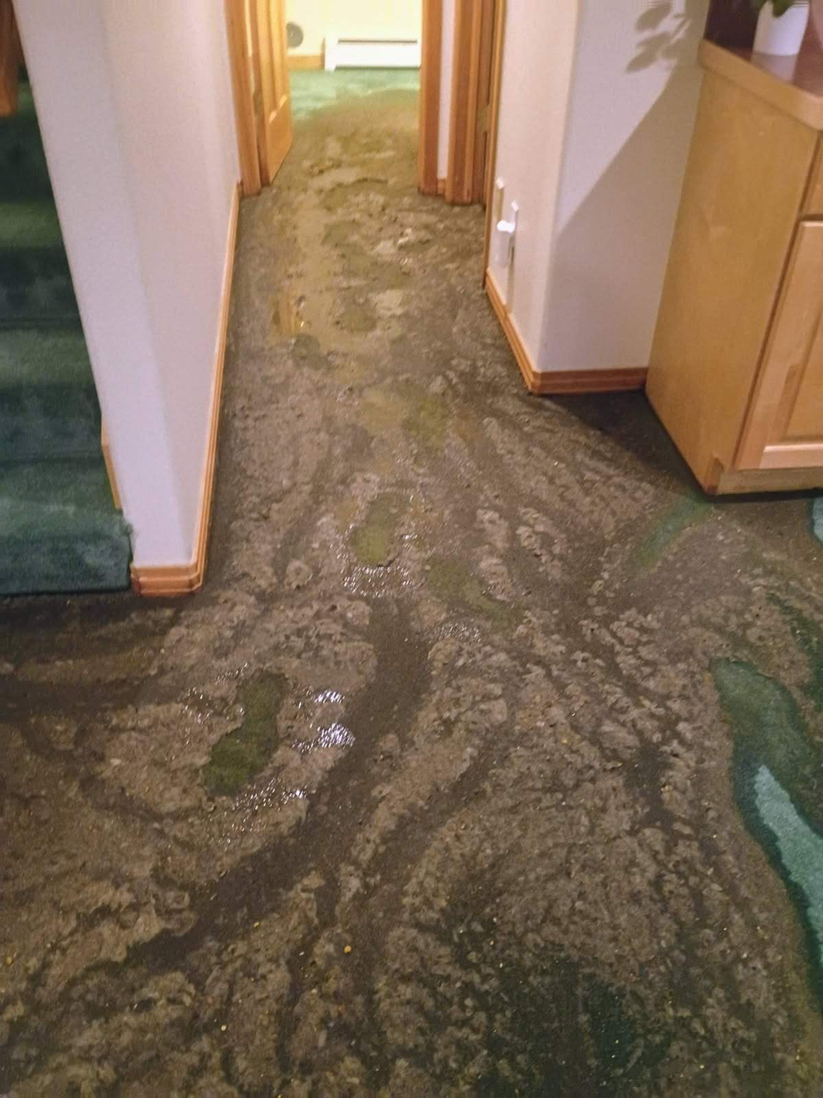 Sewage damage restoration On-Site Restoration