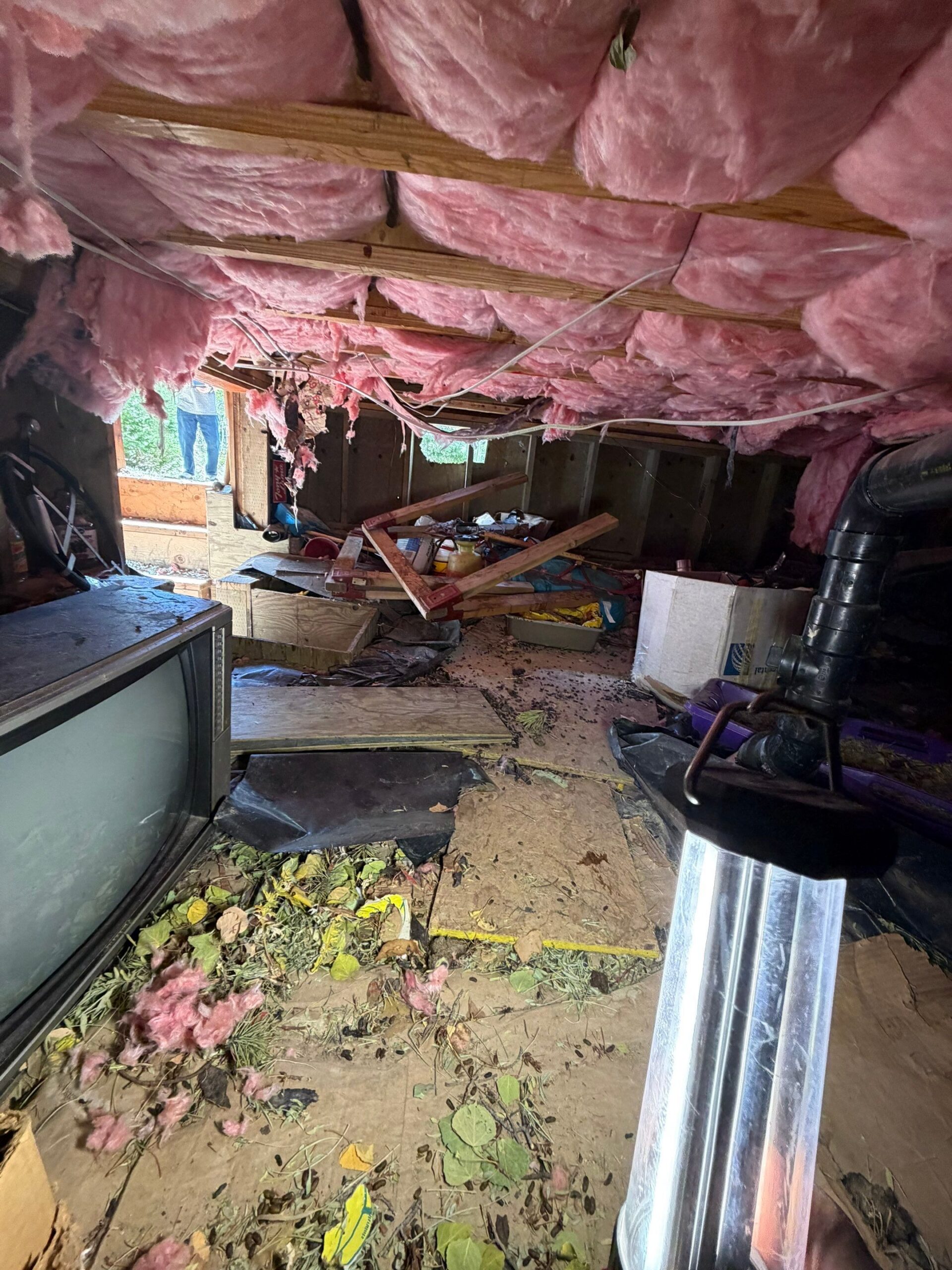 Cluttered crawlspace with insulation and debris prior to cleanout, Colorado