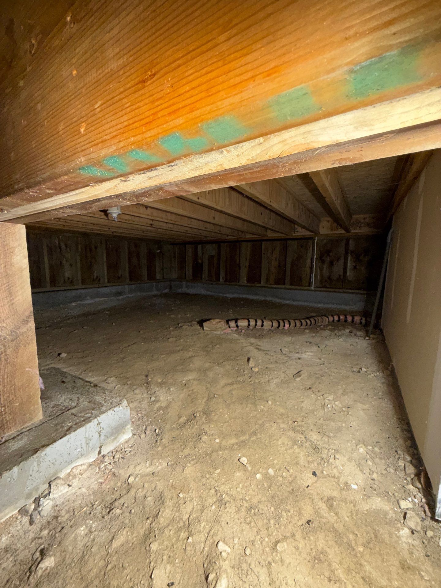 Bare earth crawlspace before vapor barrier installation, Colorado mountain property
