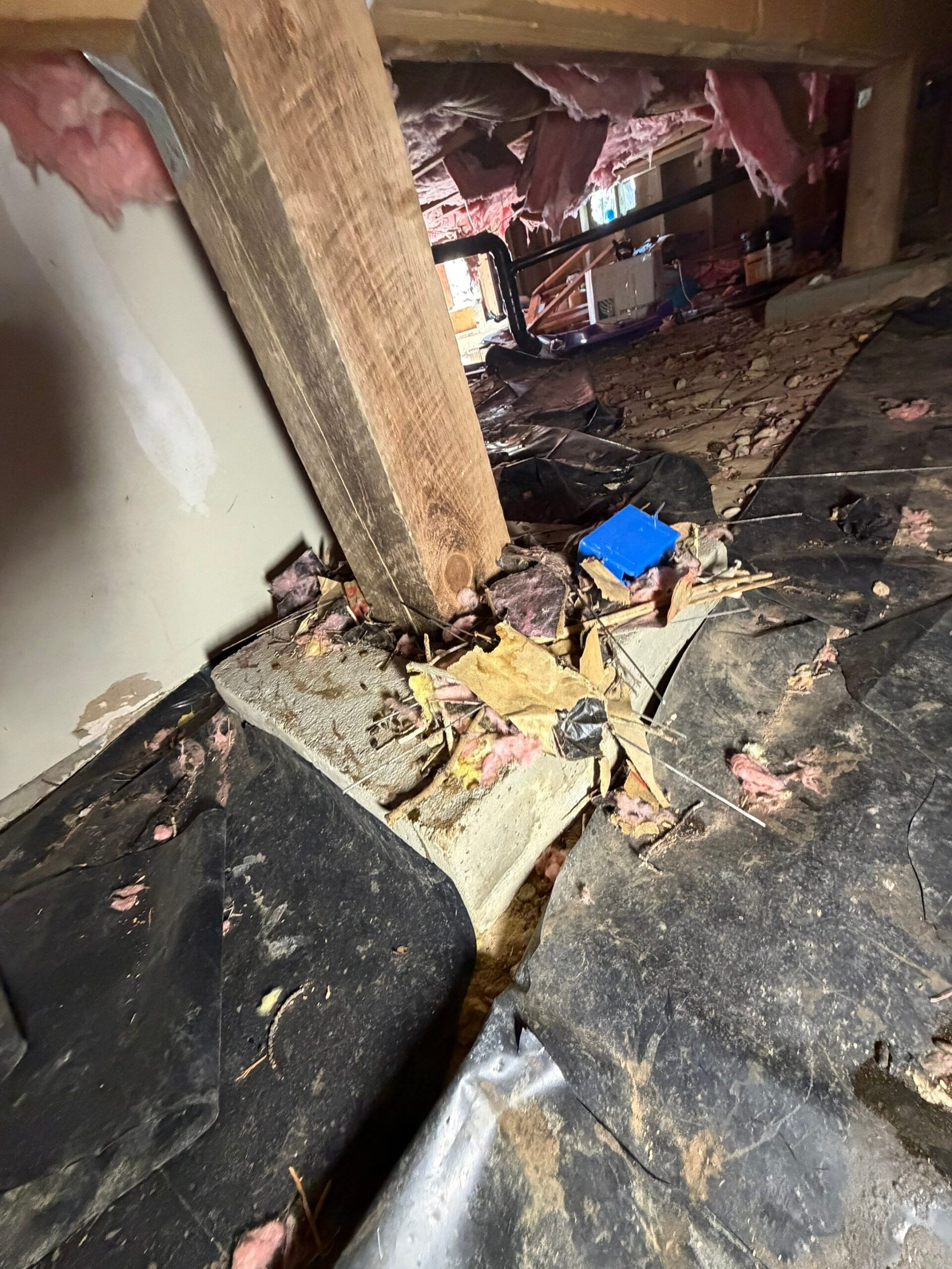 Crawlspace debris and damaged material removal by On-Site Restoration