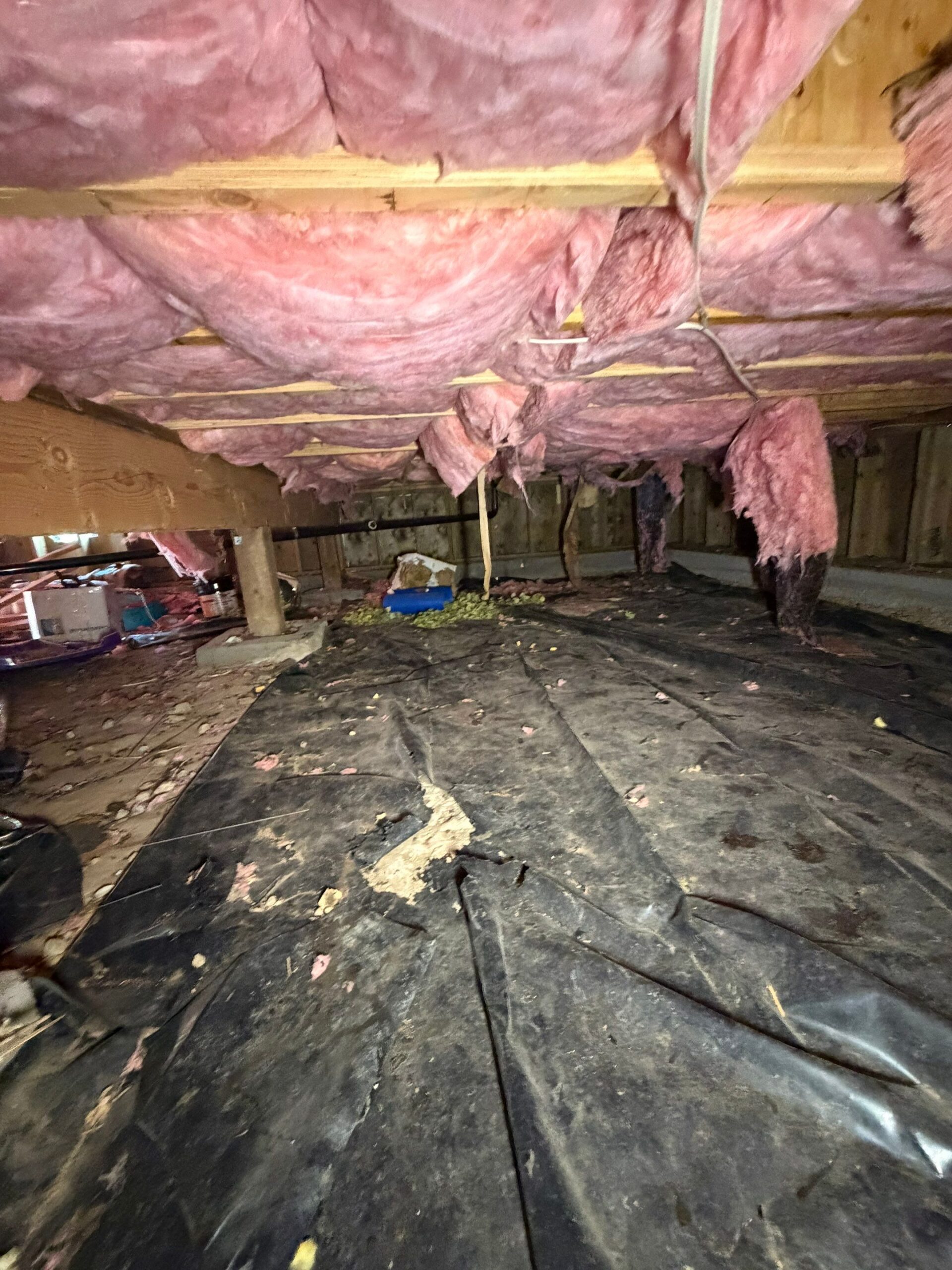Crawlspace with fiberglass batt insulation between floor joists, Summit County Colorado